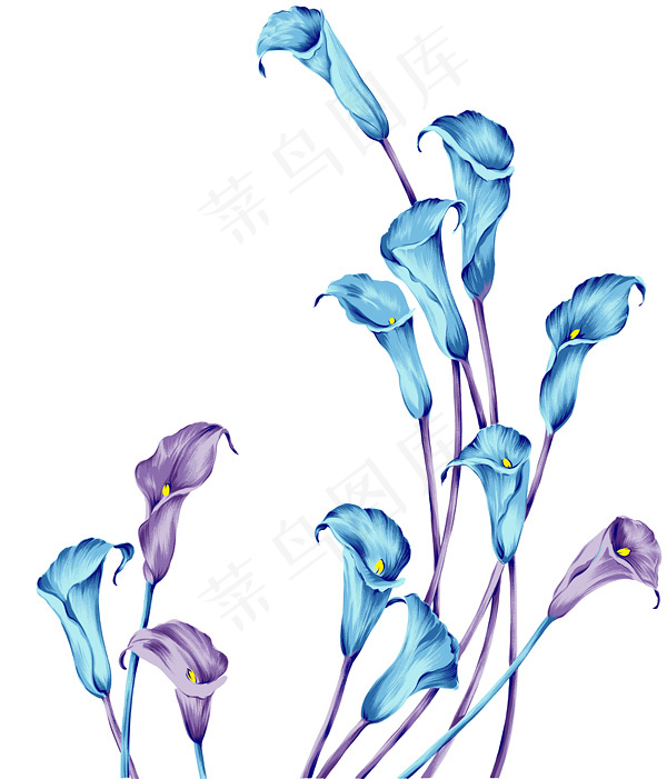 水彩风格马蹄莲(8000X9350(DPI:508))psd模版下载