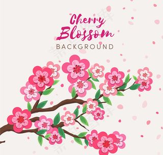 手绘粉色樱花花枝