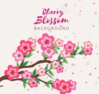 手绘粉色樱花花枝