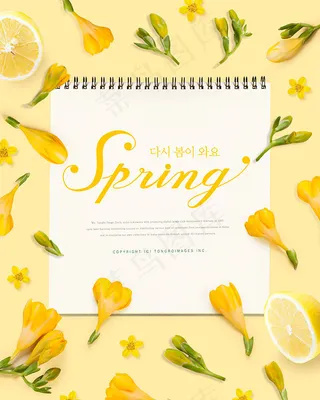 黄色春季海报