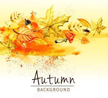 秋季树叶和蘑菇