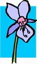 花朵鲜花_896eps,ai矢量模版下载