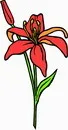 花朵鲜花_719eps,ai矢量模版下载