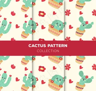 仙人掌盆栽背景