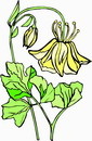 花朵鲜花_263eps,ai矢量模版下载