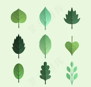 绿色树叶矢量