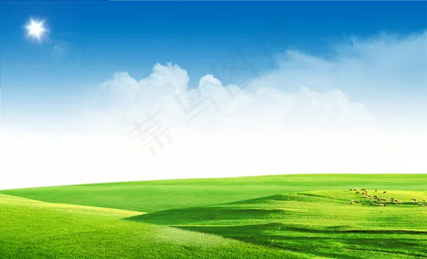 阳光下的草地(3898X2362(DPI:300))psd模版下载