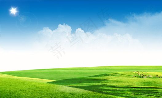 阳光下的草地 阳光下的草地