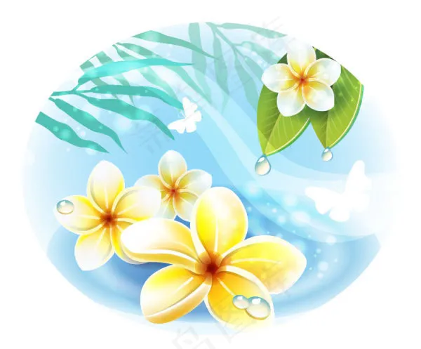 美丽花朵矢量