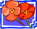 花朵鲜花_974eps,ai矢量模版下载