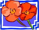 花朵鲜花_974eps,ai矢量模版下载