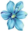 PSD精美花纹_14psd模版下载