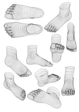 3d模型风格人脚