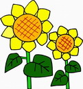 花朵鲜花_820eps,ai矢量模版下载