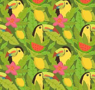 巨嘴鸟无缝背景