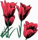 花朵鲜花_3eps,ai矢量模版下载