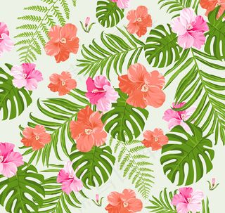 扶桑花无缝背景