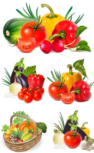 新鲜蔬菜矢量