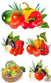 新鲜蔬菜矢量 新鲜蔬菜矢量