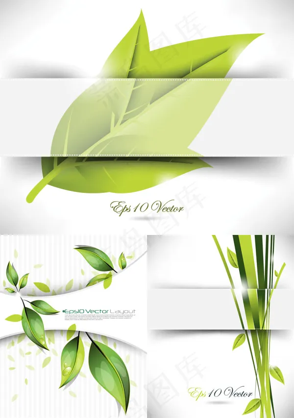 唯美绿叶设计eps,ai矢量模版下载