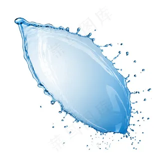 水组成的树叶 水组成的树叶