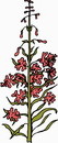 花朵鲜花_117eps,ai矢量模版下载