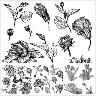 线描植物矢量,免抠元素