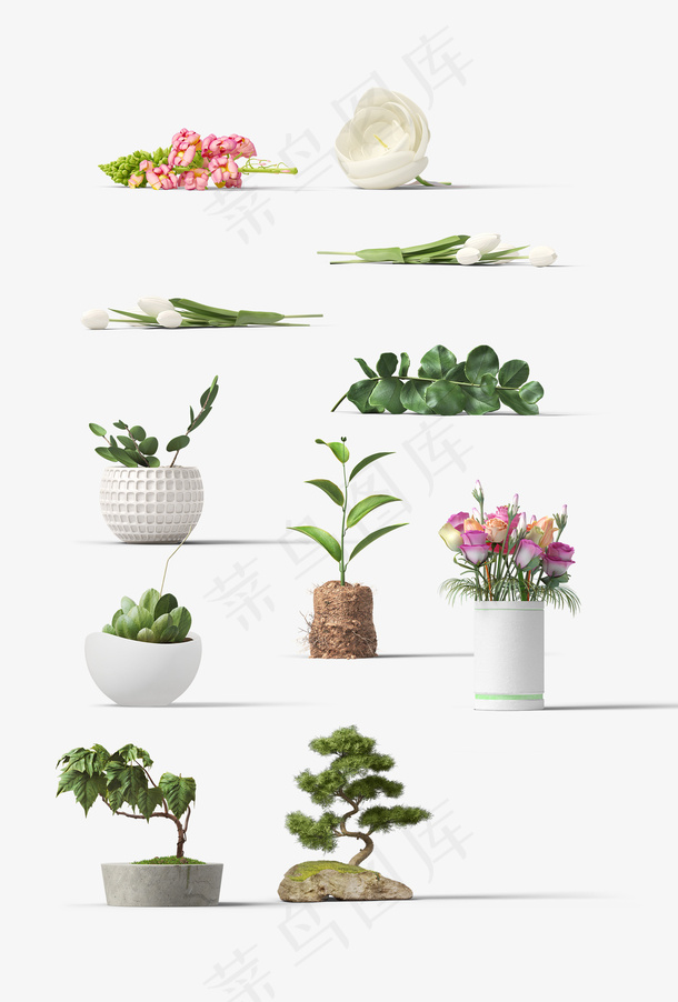 室内植物盆栽