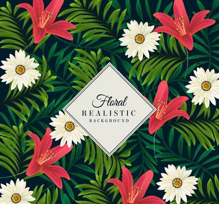 逼真彩色花卉背景