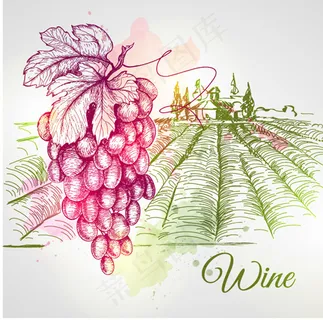 手绘葡萄酒庄园 手绘葡萄酒庄园