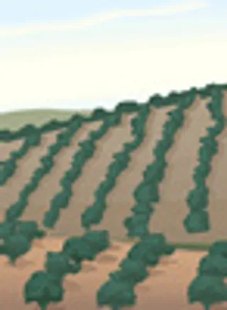 矢量风景背景_46,背景元素