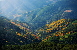 丛山景观