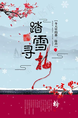 踏雪寻梅海报