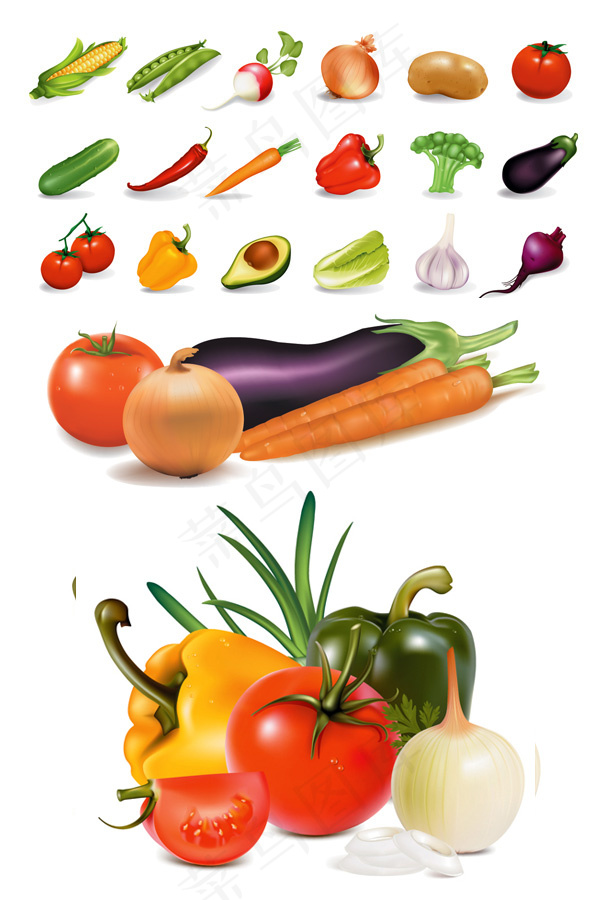 常见蔬菜矢量