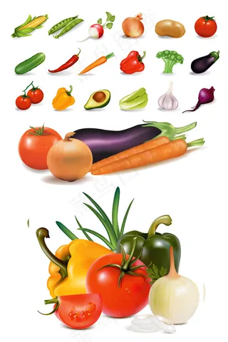 常见蔬菜矢量
