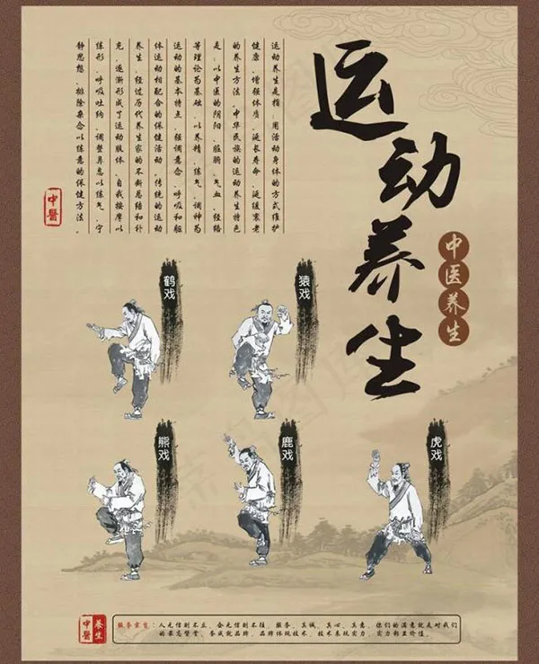 中医养生海报(650X850)cdr矢量模版下载