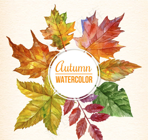 秋季树叶框架