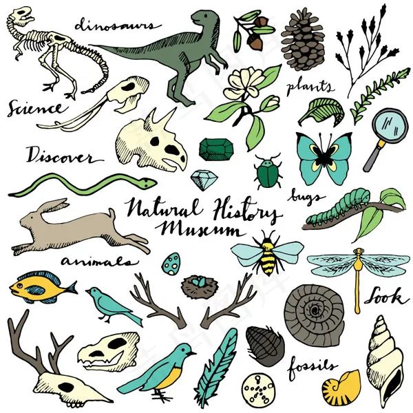 自然野生动植物