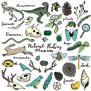 自然野生动植物