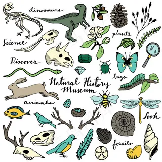 自然野生动植物