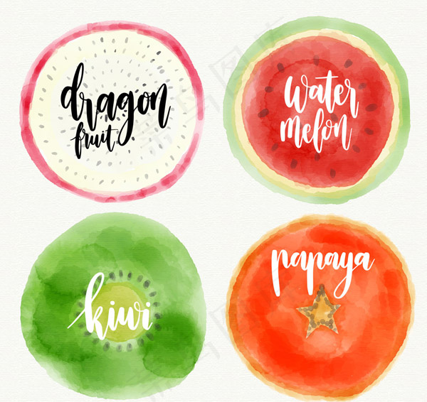水彩绘水果切面