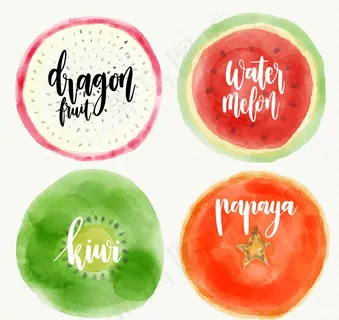 水彩绘水果切面 水彩绘水果切面