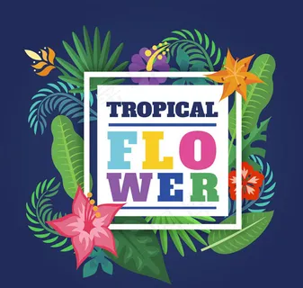 热带花卉框架