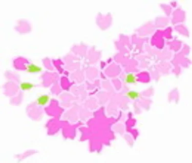 花朵鲜花_738 花朵鲜花_738
