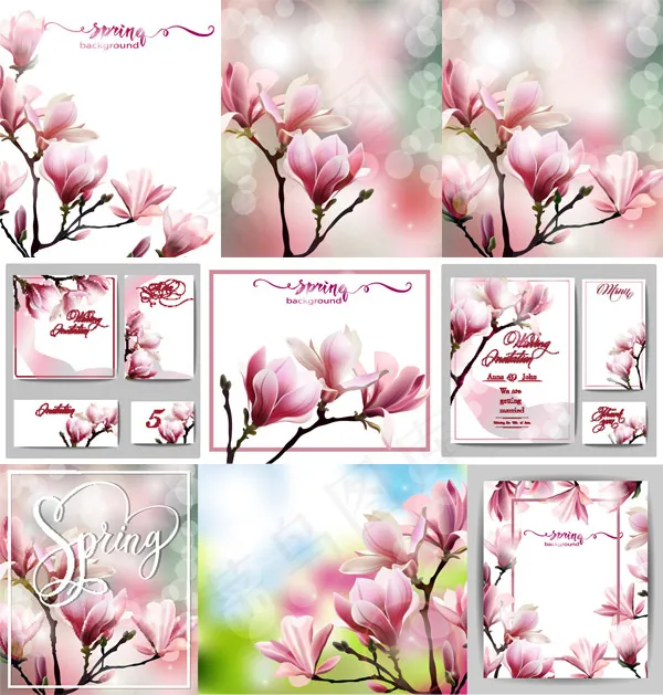 玉兰花矢量eps,ai矢量模版下载