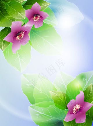 漂亮的花朵矢量3