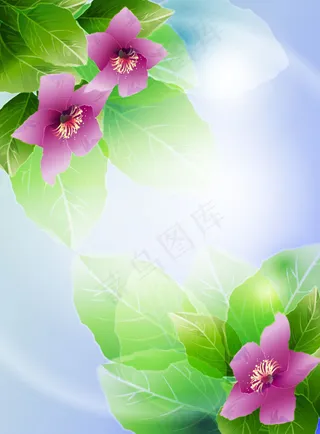 漂亮的花朵矢量3