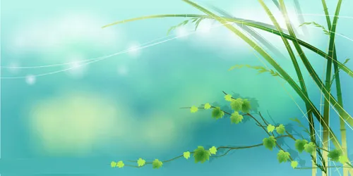 矢量叶子eps,ai矢量模版下载