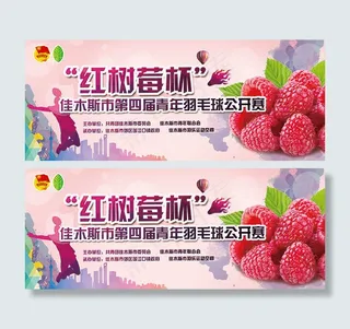 年羽毛球公开赛