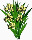花朵鲜花_26eps,ai矢量模版下载